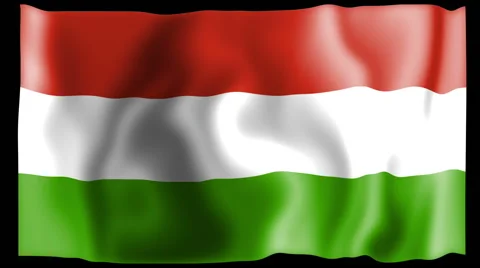 Flag of Hungary Stock Footage 46472946