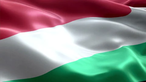 Flag Hungary Video stock 47746740