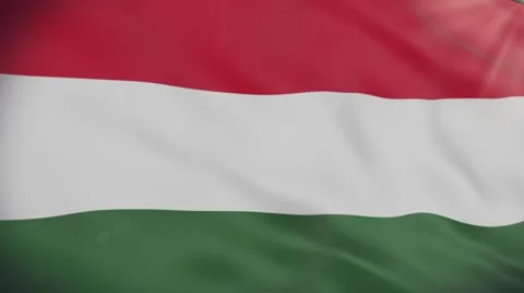 Flag of Hungary Stock Footage 51958439