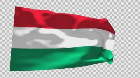 Flag of Hungary Stockbeeldmateriaal 60942078