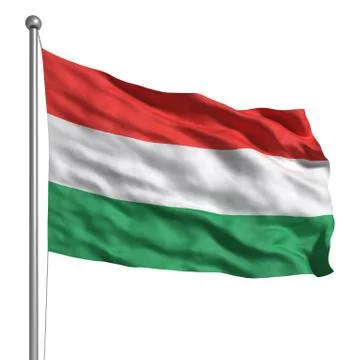 Flag of hungary Illustrazione stock