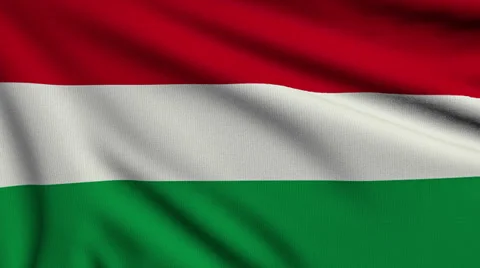Flag of Hungary looping Vídeo Stock 27493531