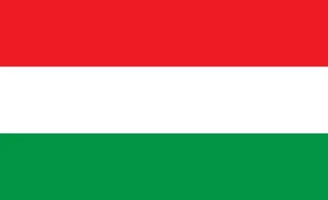 Flag of Hungary. Simple vector Hungary flag Stock Illustration