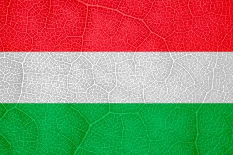 Flag of Hungary on the structure of a tree leaf macro Stock Photos