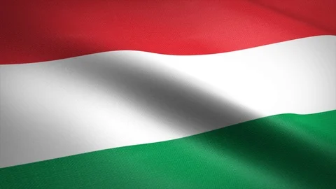 Flag of Hungary. Waving flag with highly detailed fabric texture seamless Stock Footage 121939073