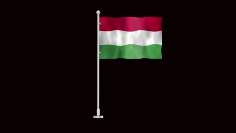 Flag of Hungary waving Stock Footage 320303656