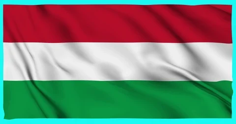 Flag of Hungary waving on a samless loop over an easily removable background 스톡 동영상 98371769