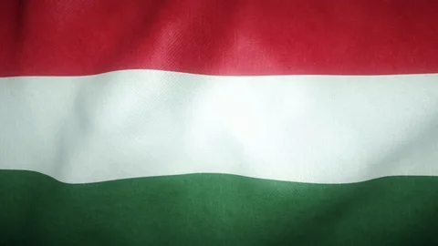 Flag of Hungary waving in the wind Stock-Footage 125828805