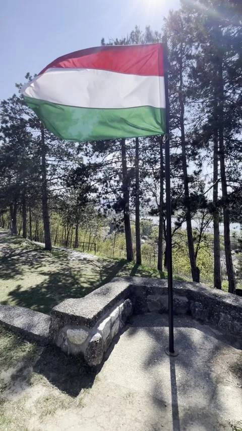 Flag of Hungary waving in the wind with trees and Danube river at the background Stock Footage 332995344