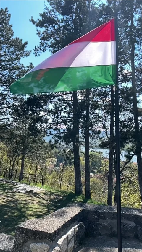 Flag of Hungary waving in the wind with trees and Danube river at the background Stock Footage 332995623