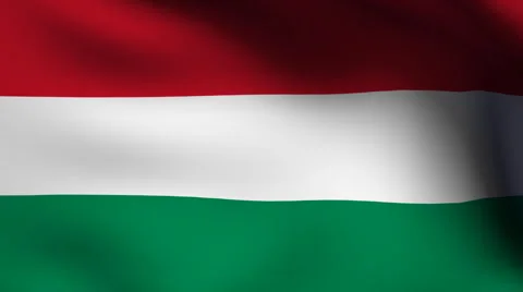 Flag of hungry Video stock 891343