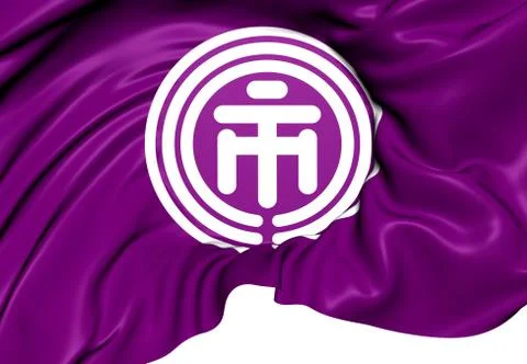 Flag of ichikawa Stock Illustration