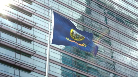 Flag of Idaho Stock Footage 343557166