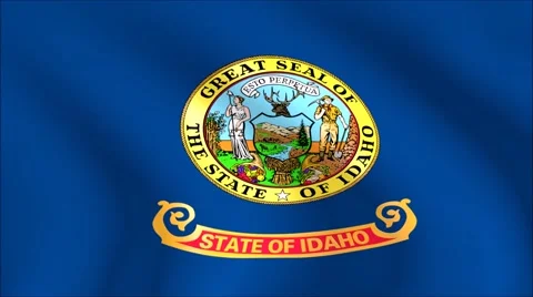 Flag of Idaho with gold embossed Stock Footage 65148136