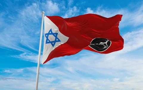 Flag of IDF Central Command , Israel at cloudy sky background on sunset, pano Stock Illustration