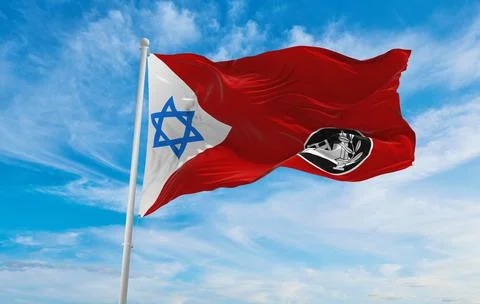 Flag of IDF Home Front Command , Israel at cloudy sky background on sunset, p 스톡 일러스트