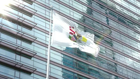 Flag of Illinois Stock Footage 343557175