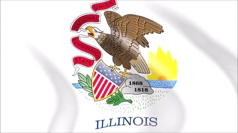 Flag of Illinois with gold embossed Stock Footage 65148131