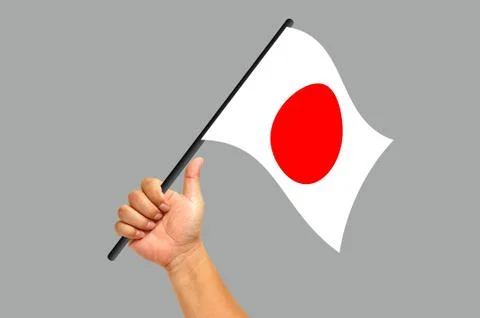 Flag Illustrazione stock