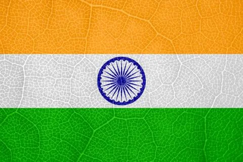 Flag of India on the structure of a tree leaf macro 스톡 사진