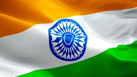 Flag of India video waving in wind. Realistic Indian Flag background. India Stock Footage 102944960
