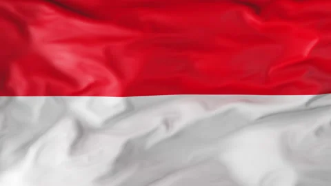 The flag of Indonesia is fluttering in the wind. Animation 3d Video stock 202050208