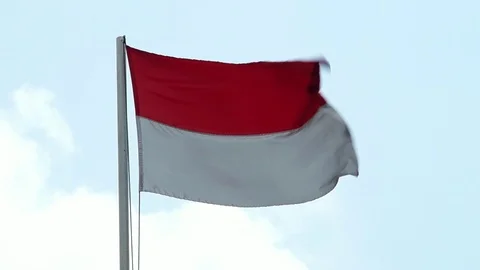 Flag of Indonesia Stock Footage 113997247