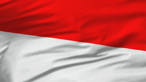 Flag of Indonesia Stock Footage 146990087