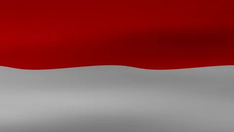 Flag Indonesia Stock Footage 313100719