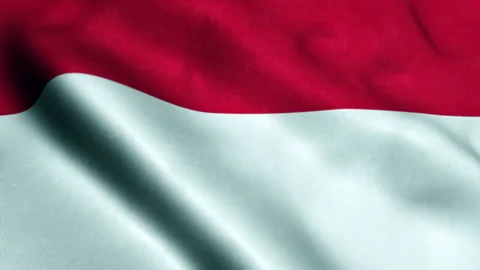 Flag of Indonesia - Seamless Looping Видео 221452891