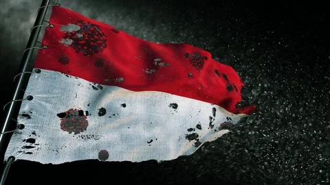 The flag of Indonesia is torn and marked with the virus of covid-19 . Stockbeeldmateriaal 127197936
