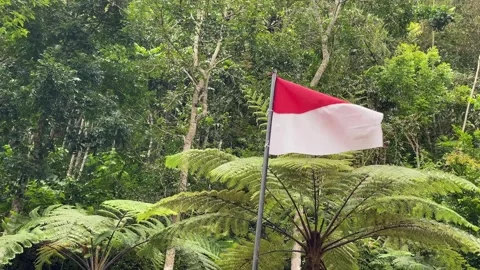 Flag of the Indonesian state, forest background. 4k Vídeos de archivo 247010779