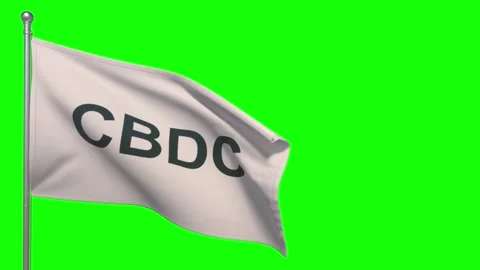 A flag with the inscription CBDC waves slowly in the wind against a green b.. Stock Footage 307915540
