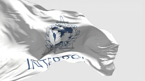 Flag with the Interpol emblem developing in the wind, slow motion, alpha channel Stockbeeldmateriaal 263150418