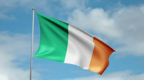 Flag of Ireland 動画素材 442844
