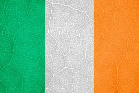 Flag of Ireland on the structure of a tree leaf macro Fotos Stock