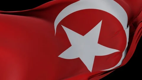 Flag of Islam slowly waving. Includes alpha matte. Stock Footage 120397519