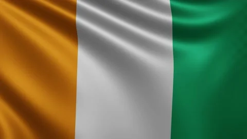 Flag Ivory Coast in the wind close-up, the national flag of Cote d'Ivoire in 3d Stock Footage 219554873