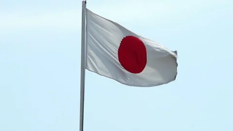 Flag of Japan 스톡 동영상 113996726