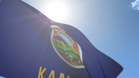 Flag of Kansas Waving in the Wind Video stock 95817181