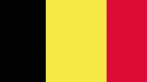 Flag of the Kingdom of Belgium Stock Footage 209560778