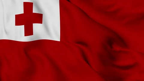 Flag of the Kingdom of Tonga gently waving in the wind Video stock 140214407