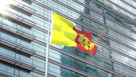 Flag of Kirovohrad Oblast Stock Footage 343557317