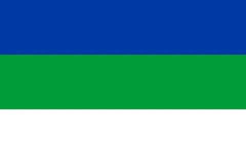 Flag of Komi Republic Illustrazione stock
