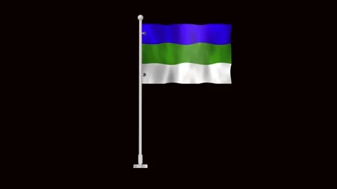 Flag of Komi waving Stock Footage 320892244