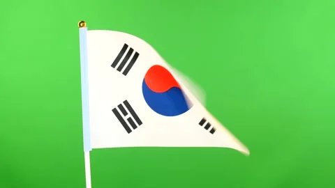 Flag of Korea on flagpole on green background. Korean Flag waving in wind. Stock Footage 143689160