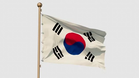 Flag of Korea, seamless loopable. Fabric texture, realistic wind, bottom view Stock Footage 254714742