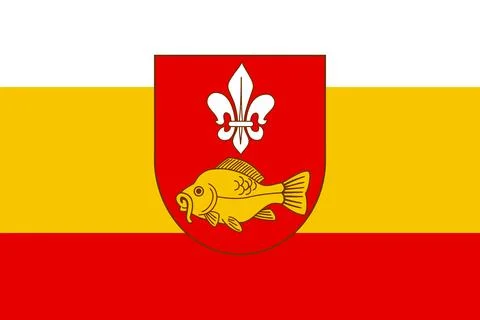 Flag of Krasnostavsky district Stock Illustration