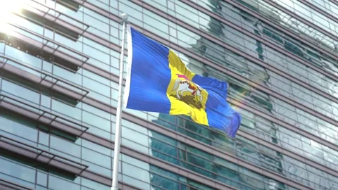 Flag of Kyiv Oblast Stock Footage 343557331