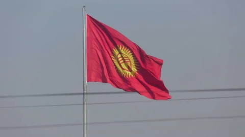 Flag of Kyrgyzstan Stock Footage 145048537